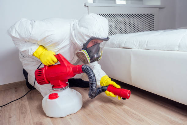 Best Residential Pest Control  in Hueytown, AL