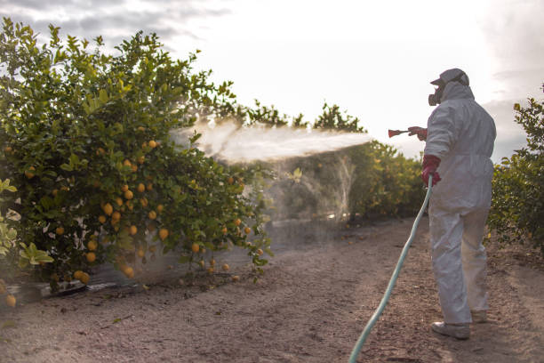 Best Affordable Pest Control Services  in Hueytown, AL