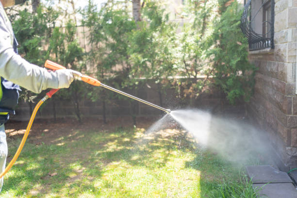 Professional Pest Control in Hueytown, AL