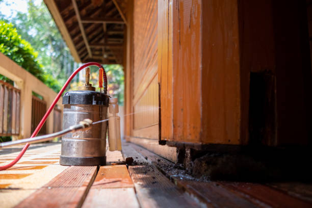 Best Pest Prevention Services  in Hueytown, AL