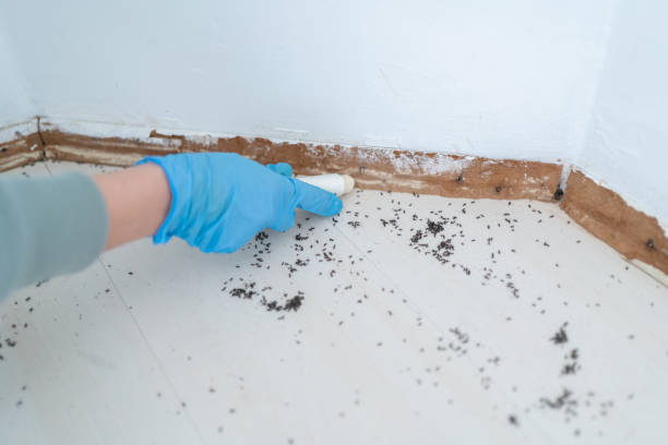 Best Residential Pest Control  in Hueytown, AL