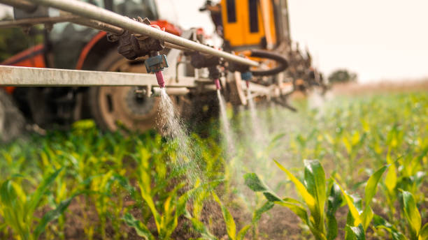 Best Pest Removal Services  in Hueytown, AL